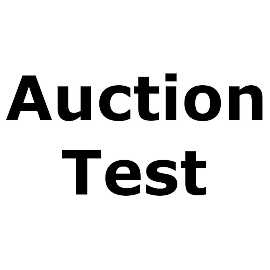 Auction Test